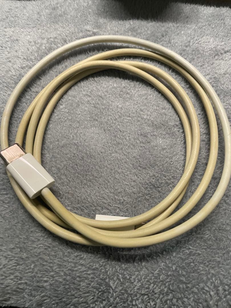 iPad Pro 11インチ 第1世代 256gb