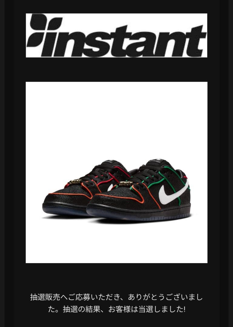 HITOOOOOBronxGirlsSkate × Nike SBDunk