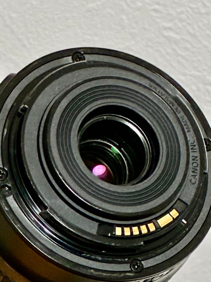 ⭐️美品⭐️Canon EF-S55-250mm IS STM フード付き望遠レンズ