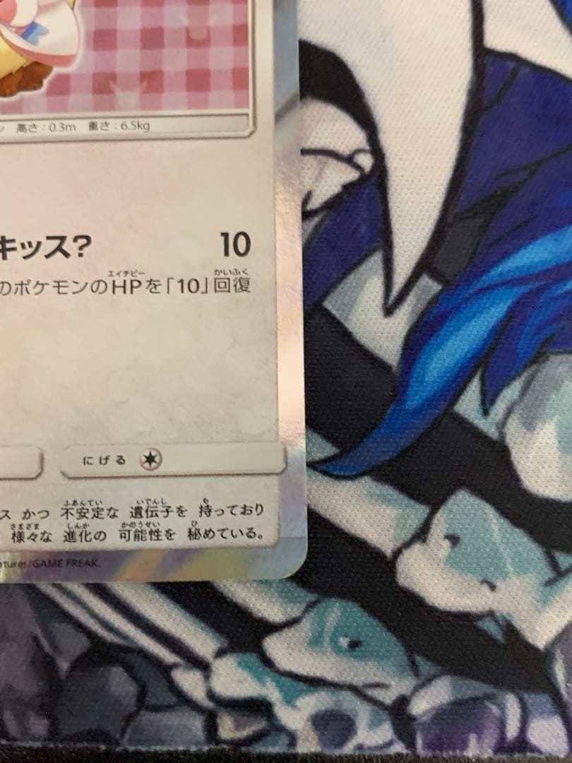 ポンチョを着たイーブイ　ニンフィア