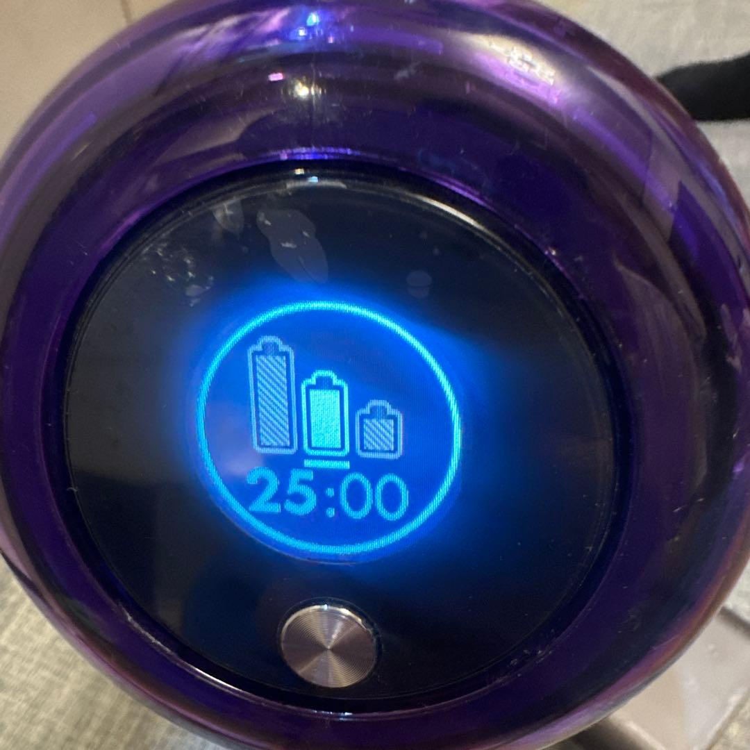 ダイソン V11 SV14本体