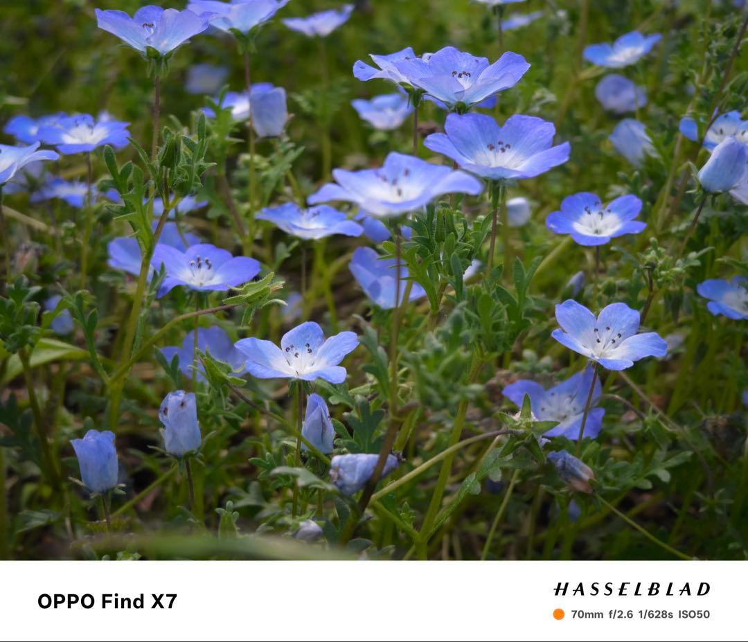 スマートフォン本体 Oppo Find X7 16/512