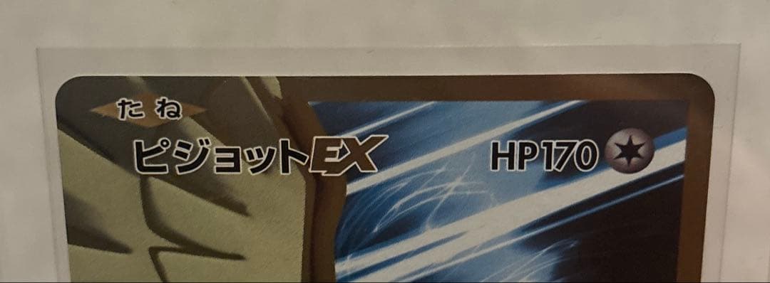 2枚 ピジョットEX＆MピジョットEX SR 20th Anniversary