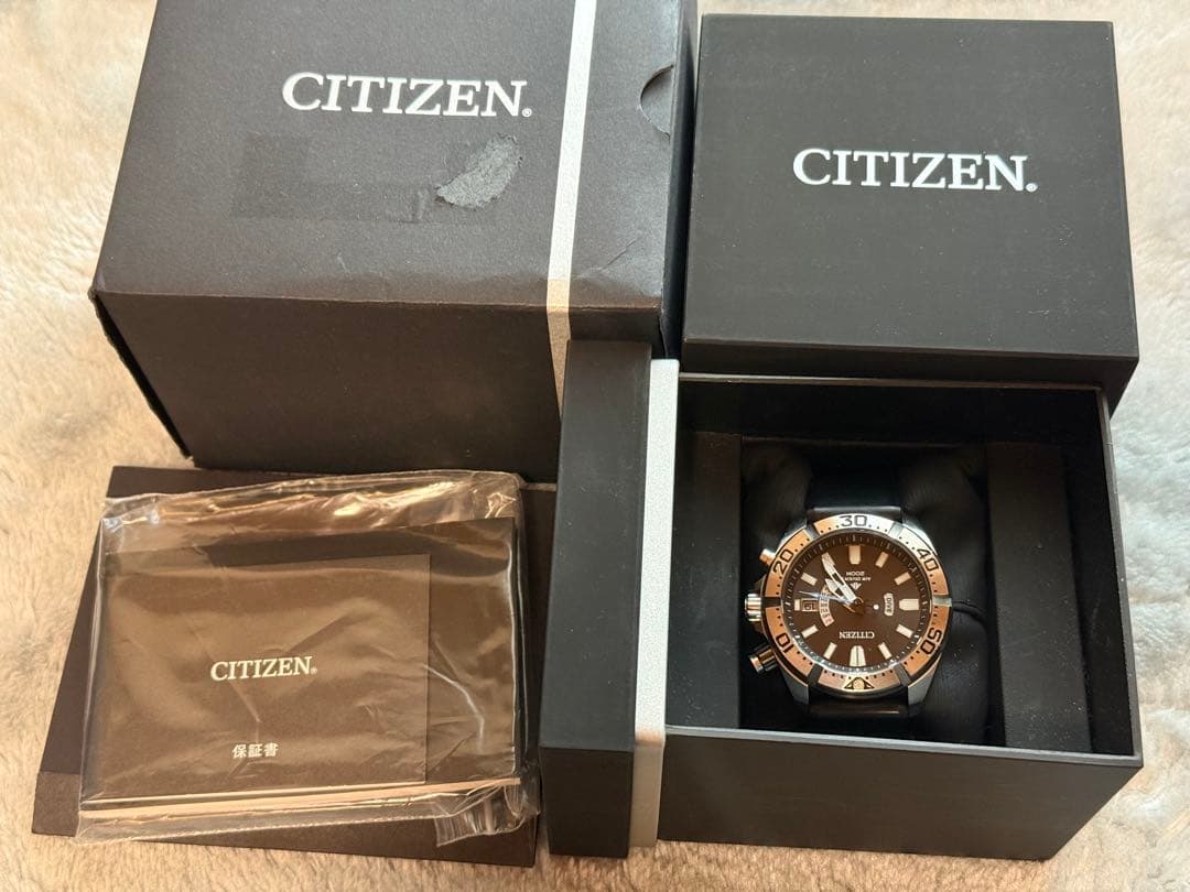 ポジティブ様　シチズン プロマスター H112-T016651 エコドライブ