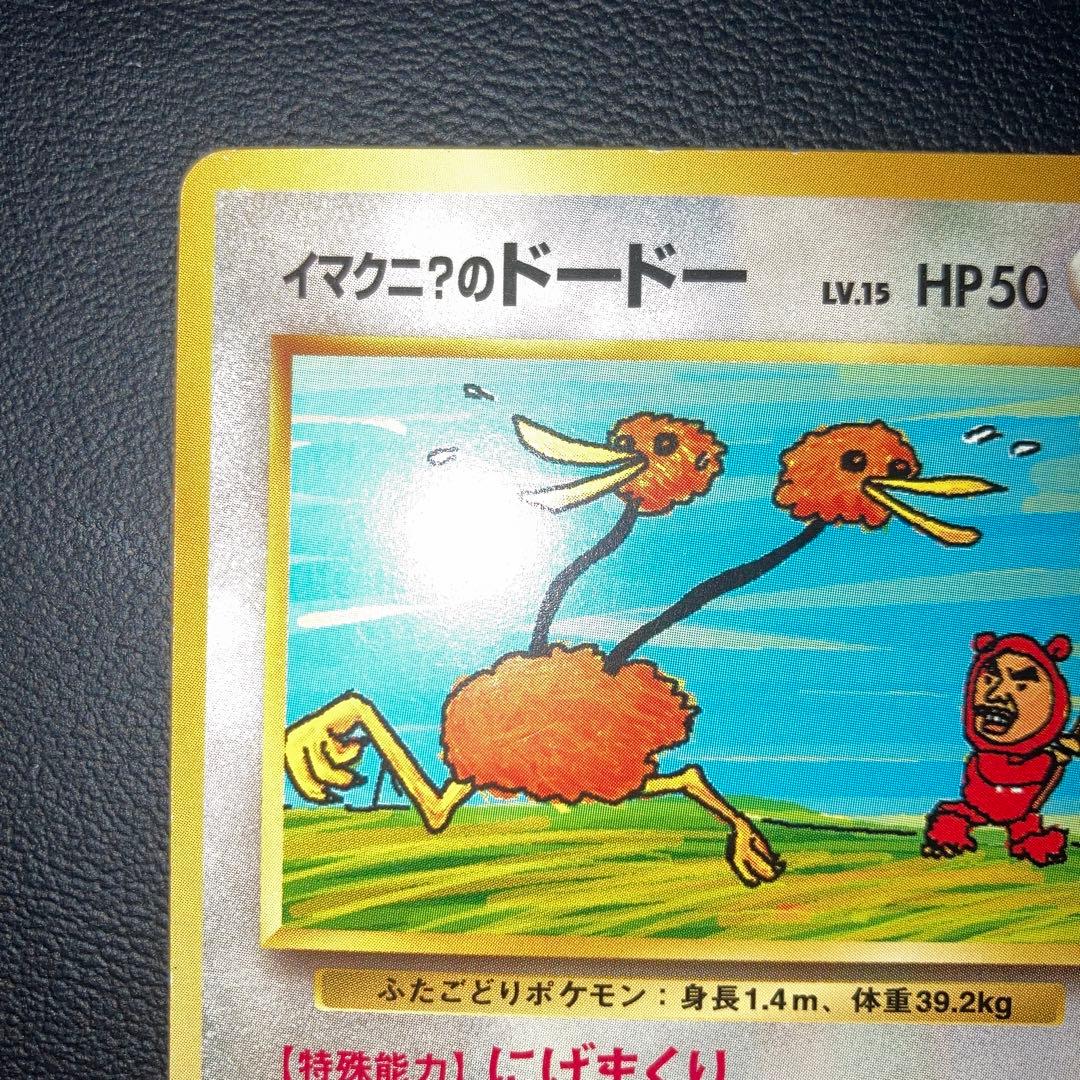 美品　イマクニ？のドードー　プロモ　旧裏
