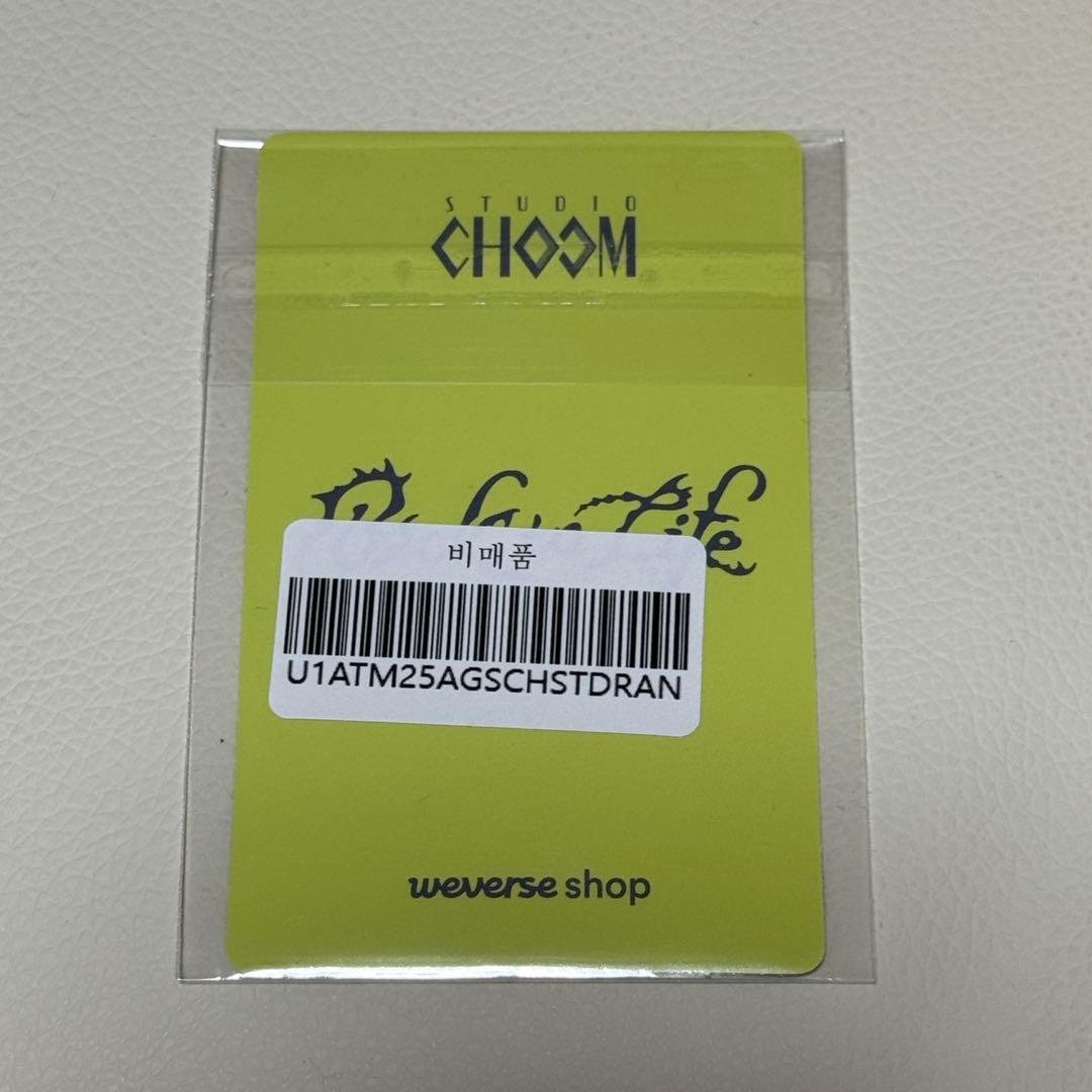 &TEAM STUDIO CHOOM NICHOLAS ニコラス