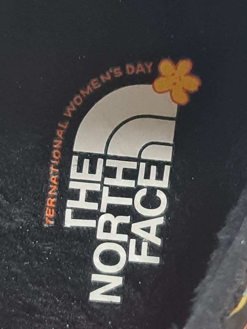 THE NORTH FACE ダウンミュール【レア品】