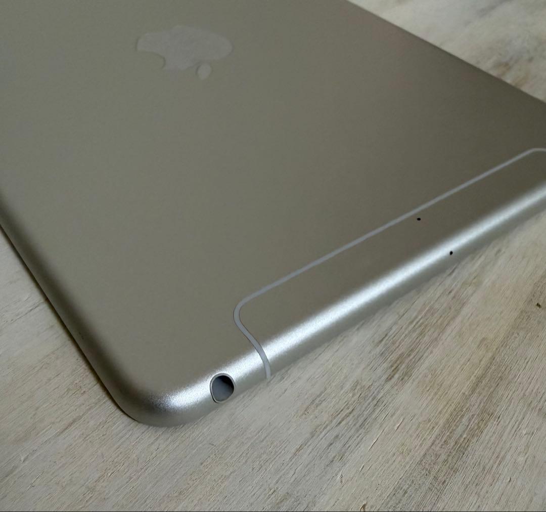 iPad mini 第5世代 cellular セルラー ApplePencil