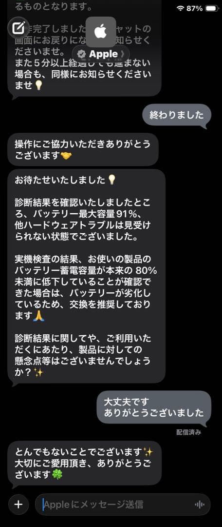 iPad mini 第5世代 cellular セルラー ApplePencil