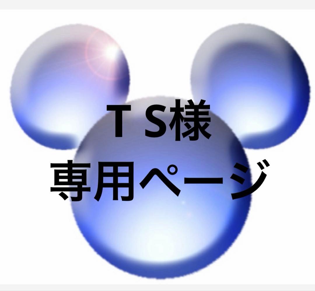 T S ページドラゴンボールZ カード 【132 】【172】