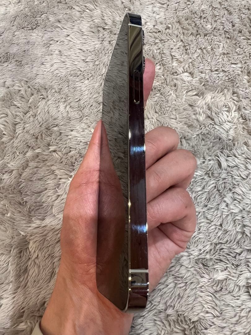 Apple iPhone 13 Pro シルバー 本体 256G