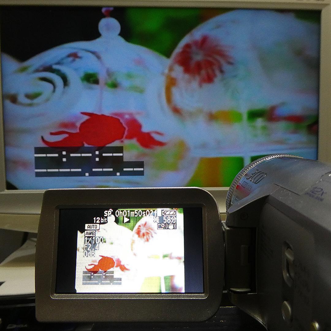 動作良好 パナソニック NV-GS500 MiniDVビデオDVDダビングに最適