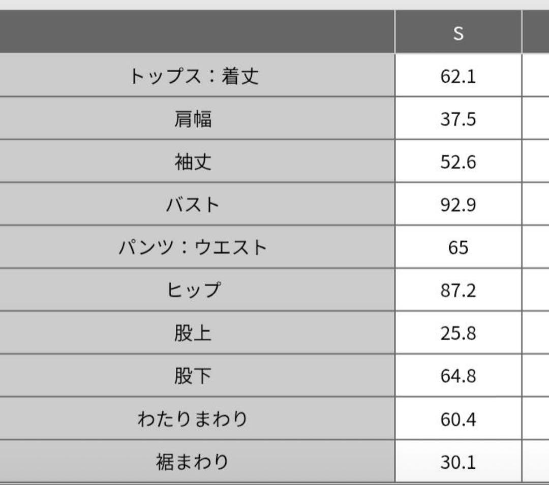 PLST セットアップ　ティアードブラウス　パンツ　ネイビー　卒業式　入学式