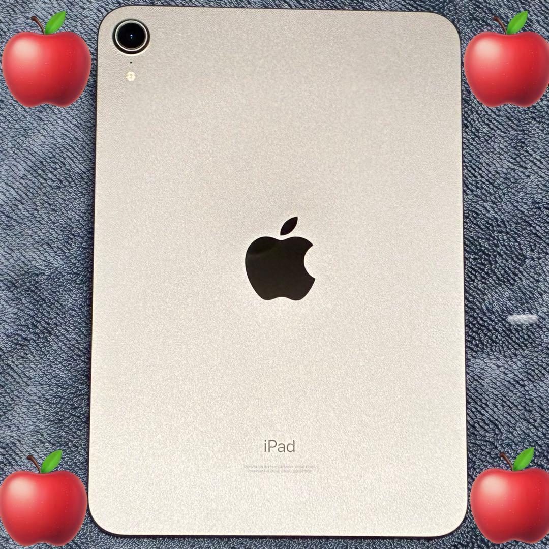 【極美品】 Apple iPad mini 64GB スペースグレイ Wi-Fi