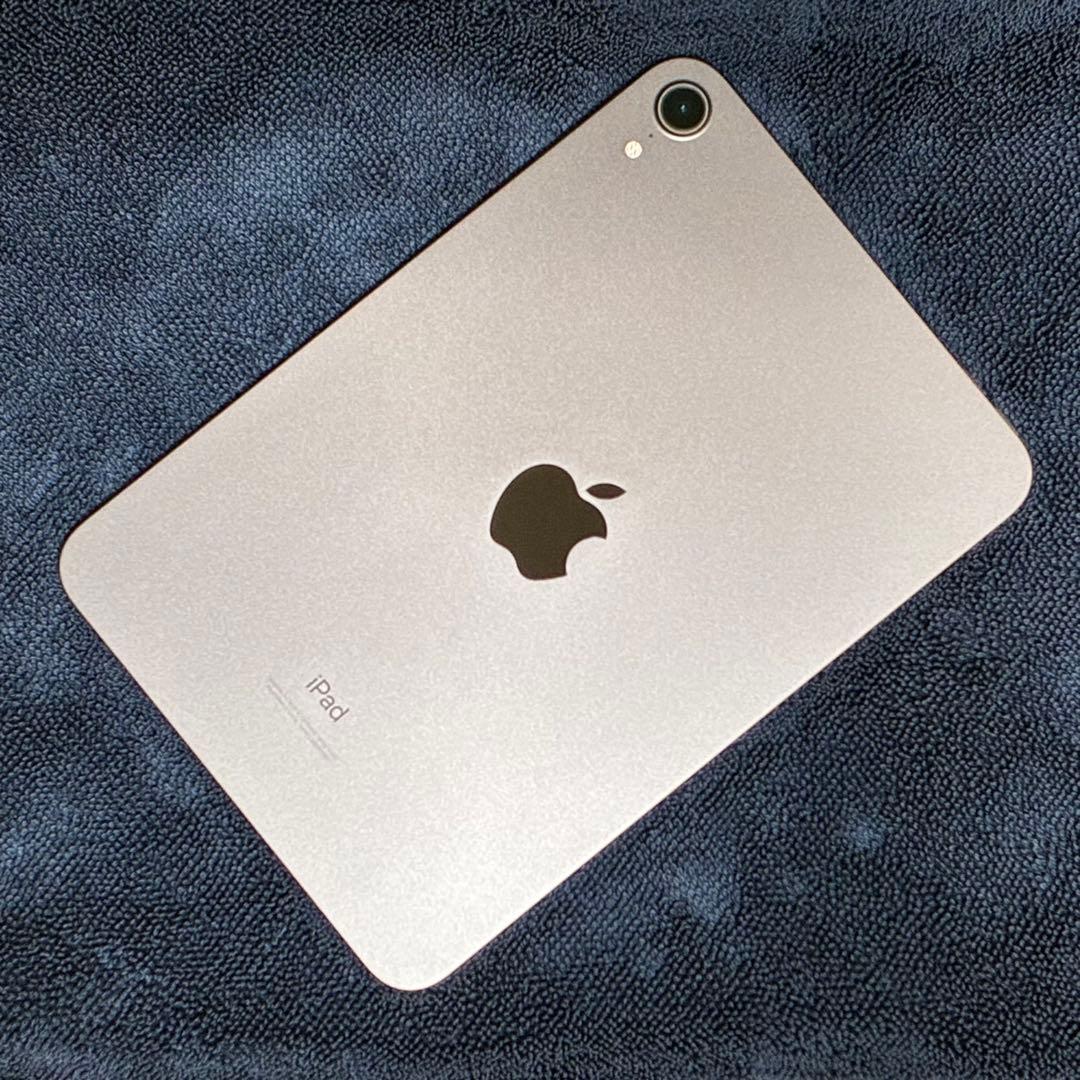 【極美品】 Apple iPad mini 64GB スペースグレイ Wi-Fi