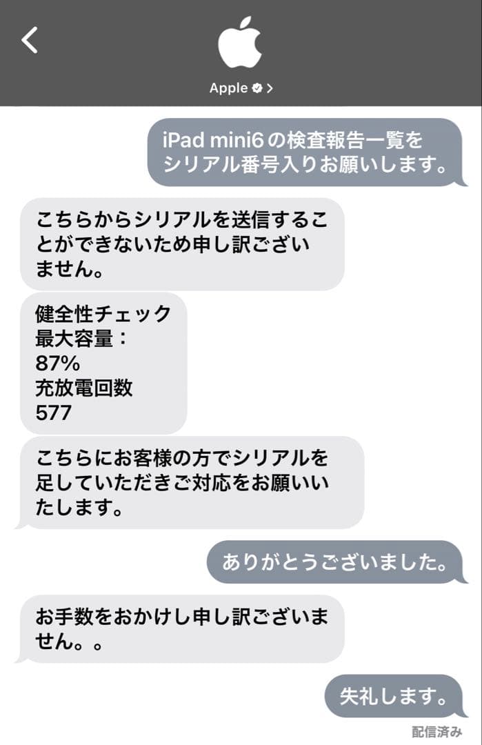 【極美品】 Apple iPad mini 64GB スペースグレイ Wi-Fi