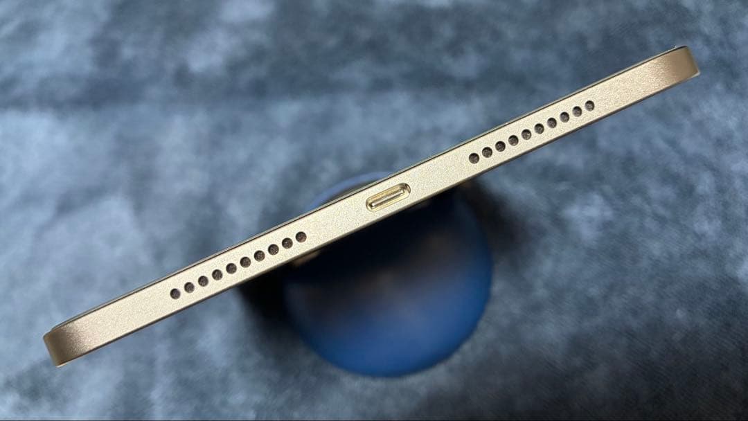 【極美品】 Apple iPad mini 64GB スペースグレイ Wi-Fi