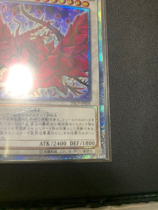 【コレクション向け】極美品　ブラック・ローズ・ドラゴン　20thシークレット