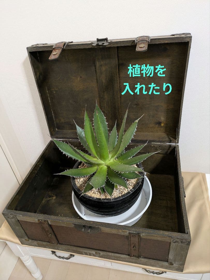 コベントガーデン/ウッデン トランクボックス L　アンティーク調・シャビーシック