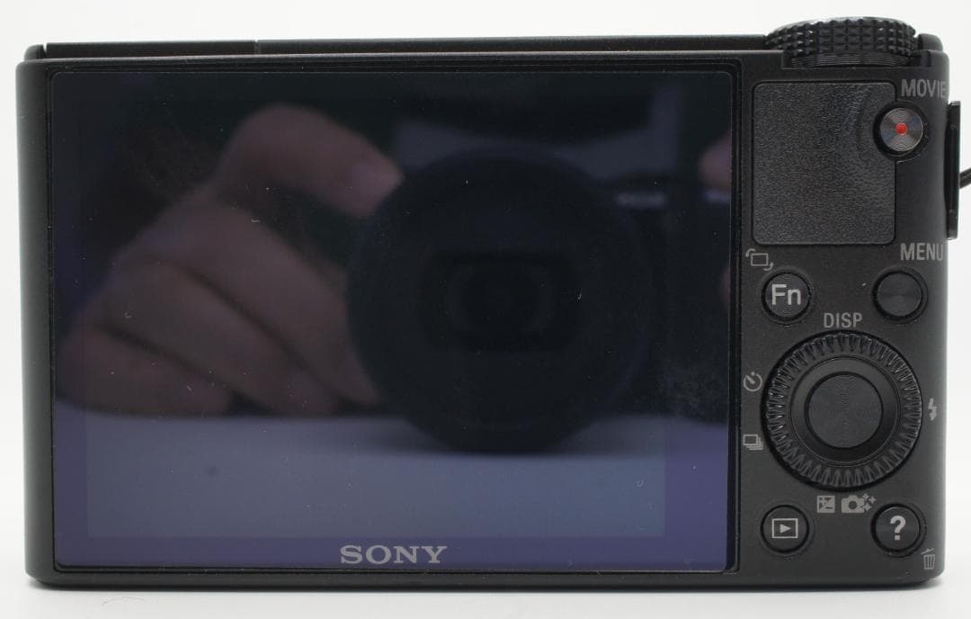 【美品】SONY サイバーショット DSC-RX100（初代）