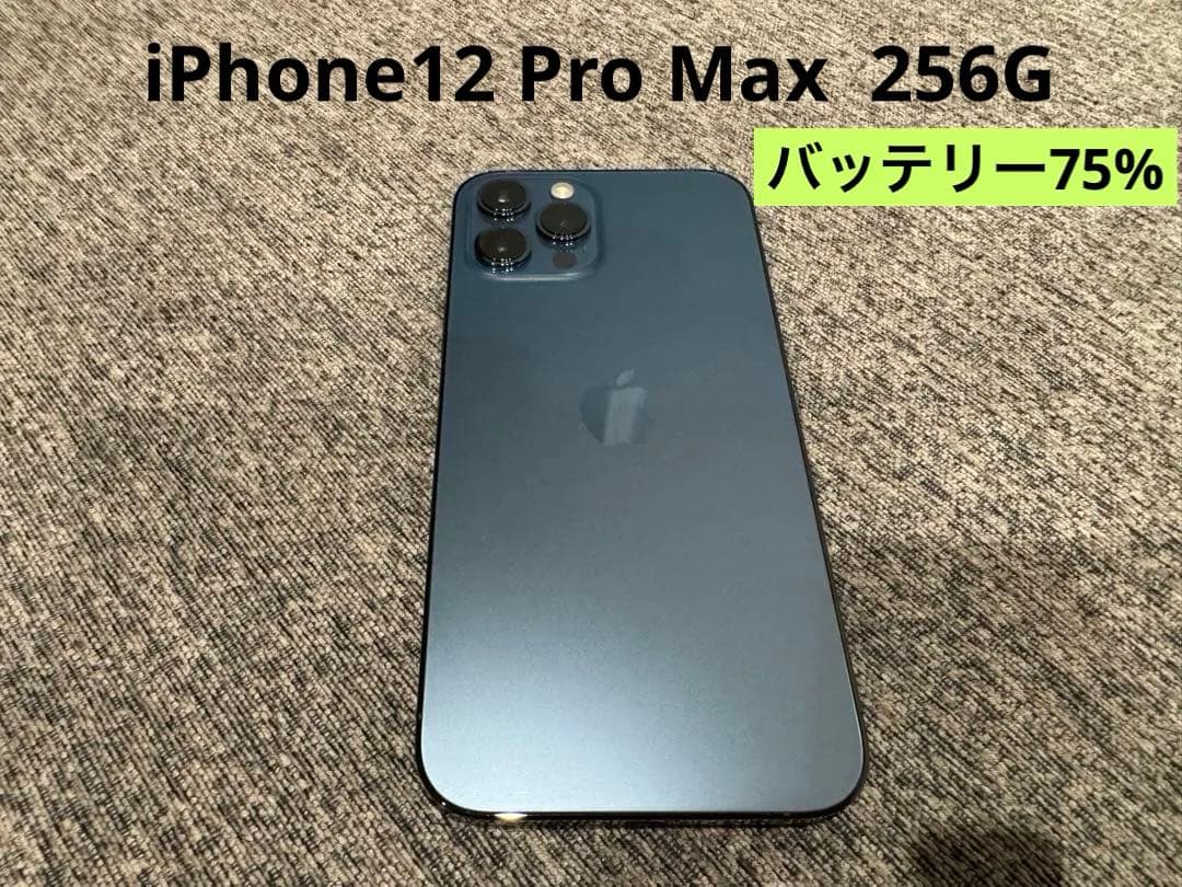 Apple iPhone 12ProMax 256G 本体