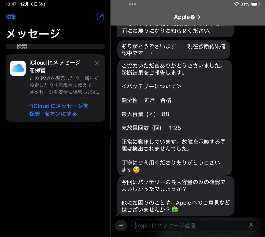 iPad Pro 12.9 Wi-Fi + Cellular 1TB ペン付き