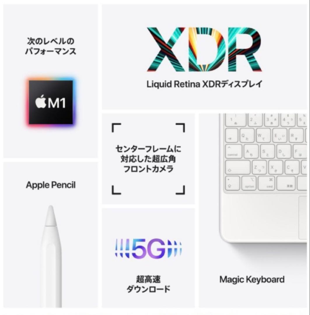 【5点】iPad Pro （第5世代） 12.9インチ M1 SIMフリー