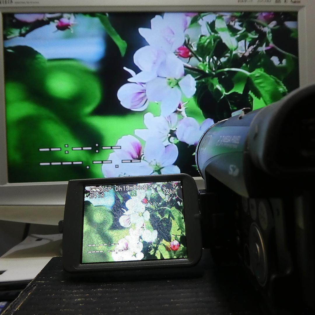 動作良好 パナソニック NV-GS200 MiniDVビデオカメラDVD化に最適