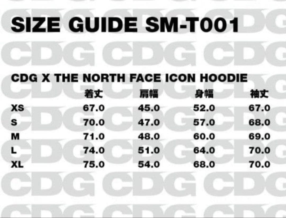 CDG × THE NORTH FACE パーカー　コムデギャルソン