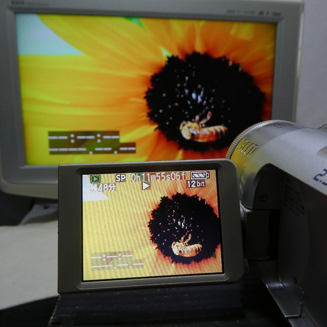 動作良好 パナソニック NV-GS150 MiniDVビデオカメラDVD化に最適