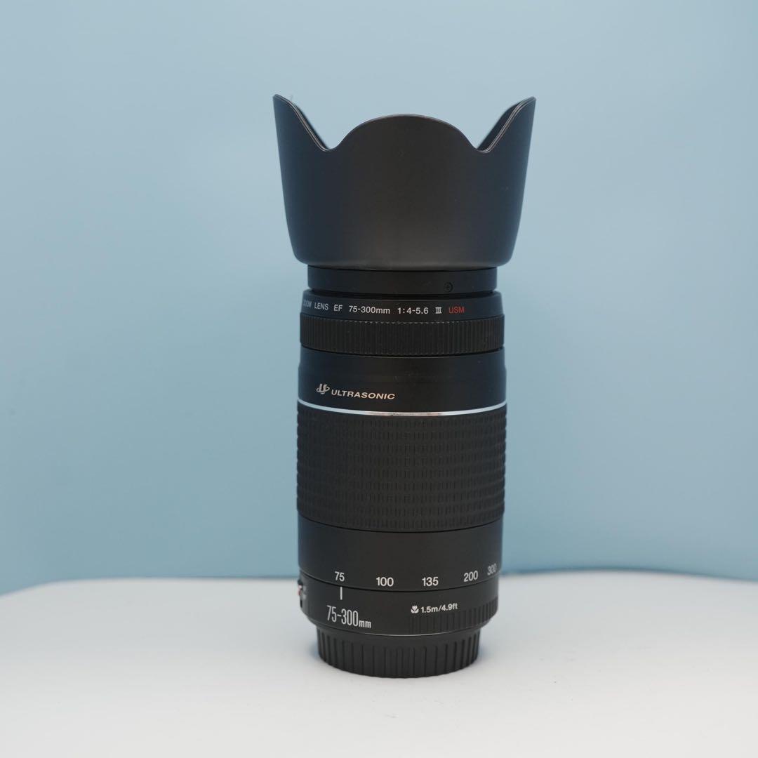 Canon純正 75-300mm 望遠レンズ a4012