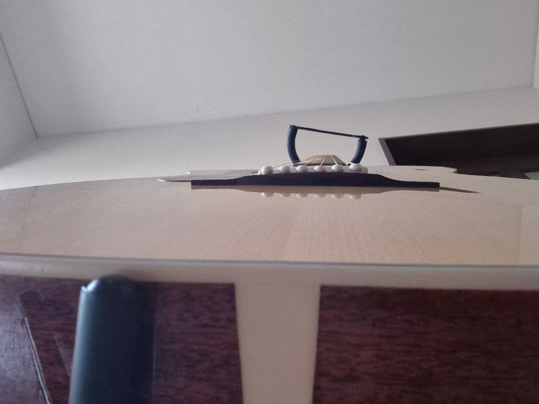 Guild ギルド エレアコ OM-140CE オール単板仕様