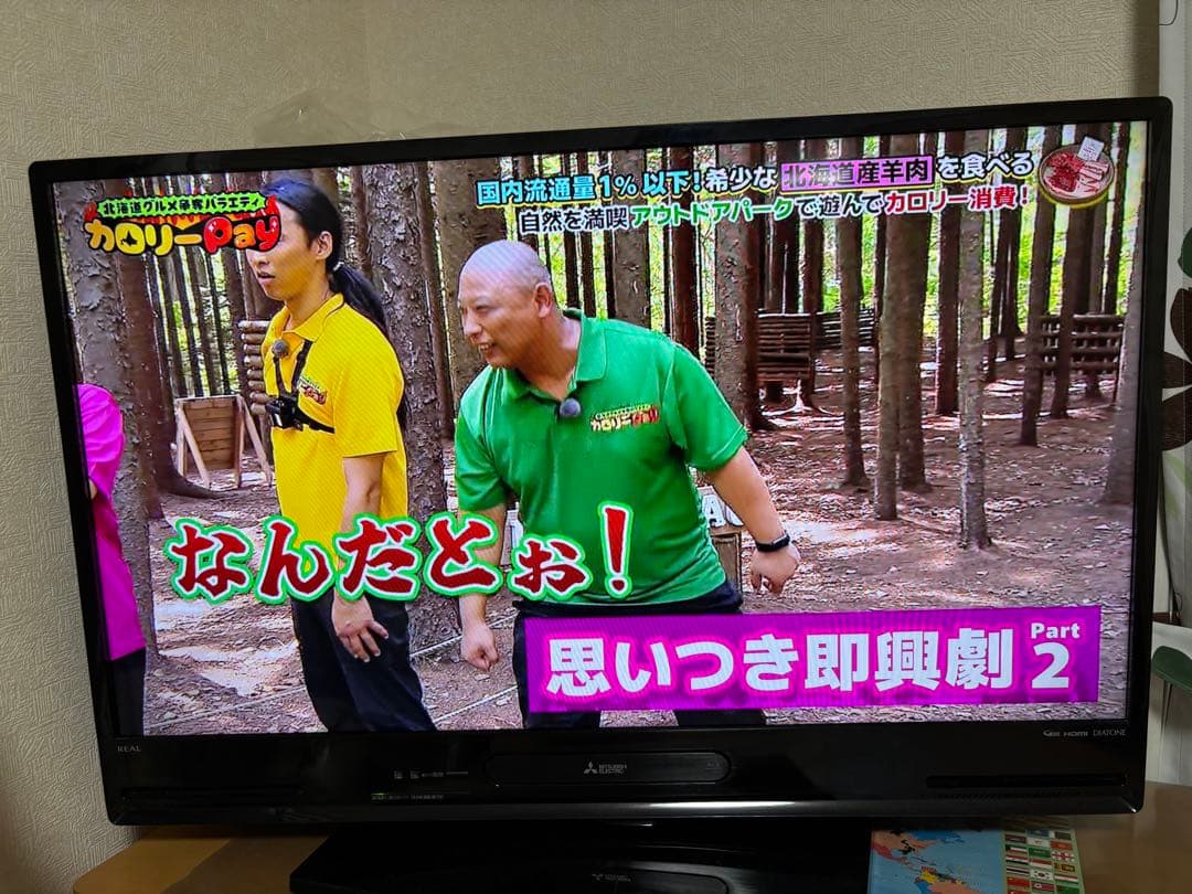 Blu-ray再生機能付き液晶テレビ　40インチ　三菱LCD-V40BHR10