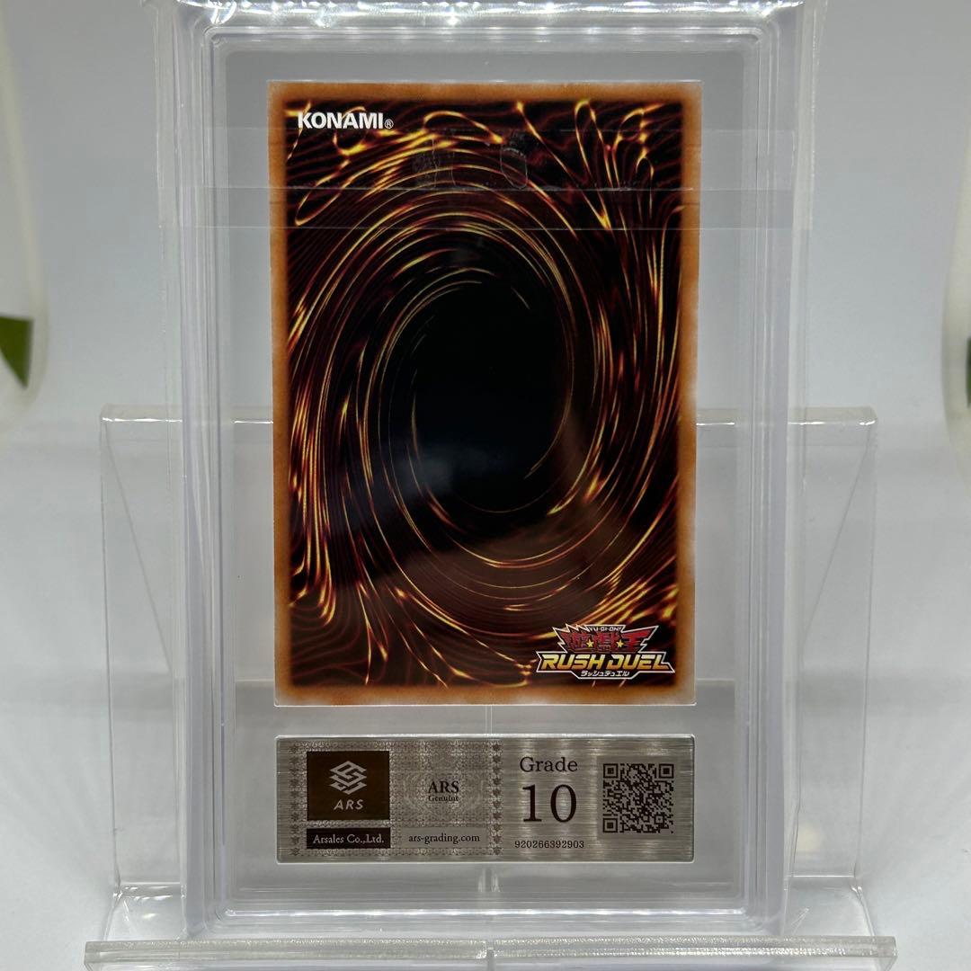 【ARS10】 夢中のパピヨン　シークレット