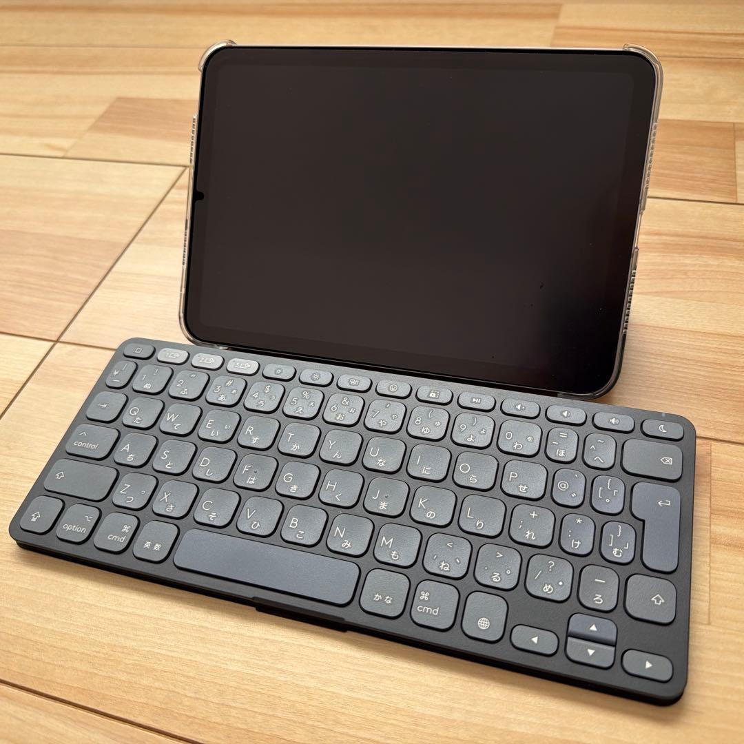 iPad mini Wi-Fi + Cellular 256GB 第7世代