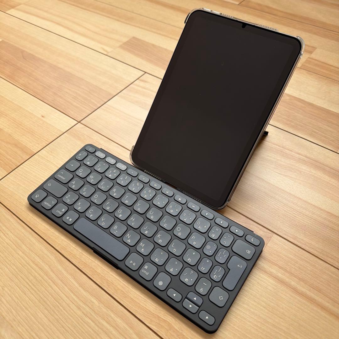 iPad mini Wi-Fi + Cellular 256GB 第7世代