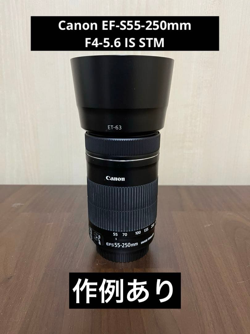 【作例あり】Canon EF-S55-250mm F4-5.6 IS STM
