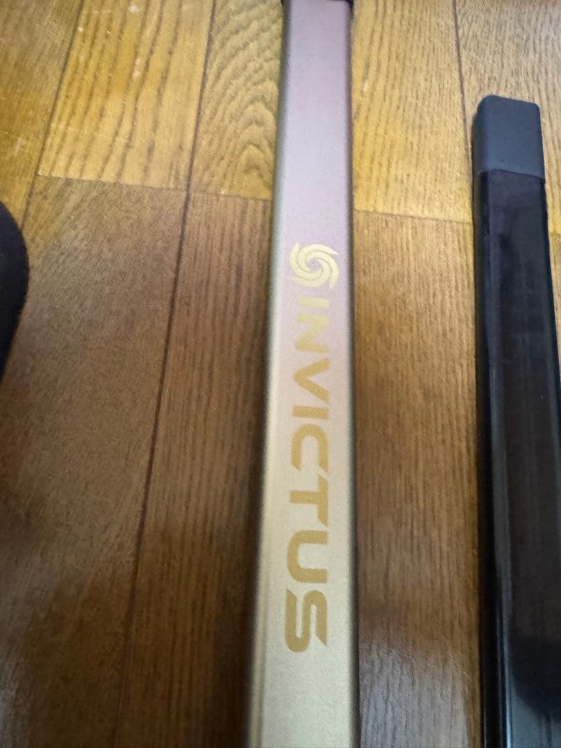 Invictus One スティッククリーナー 本体