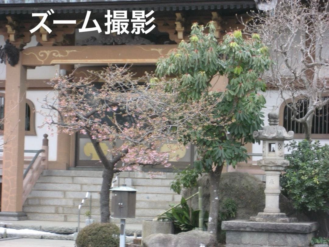 追加あり⭕️【動作確認済】Canon　IXY　DIGITAL 70 PC1193