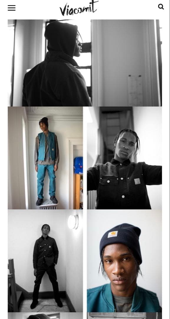 限定Stüssy x Carhartt カーハートベスト　黒xネイビー