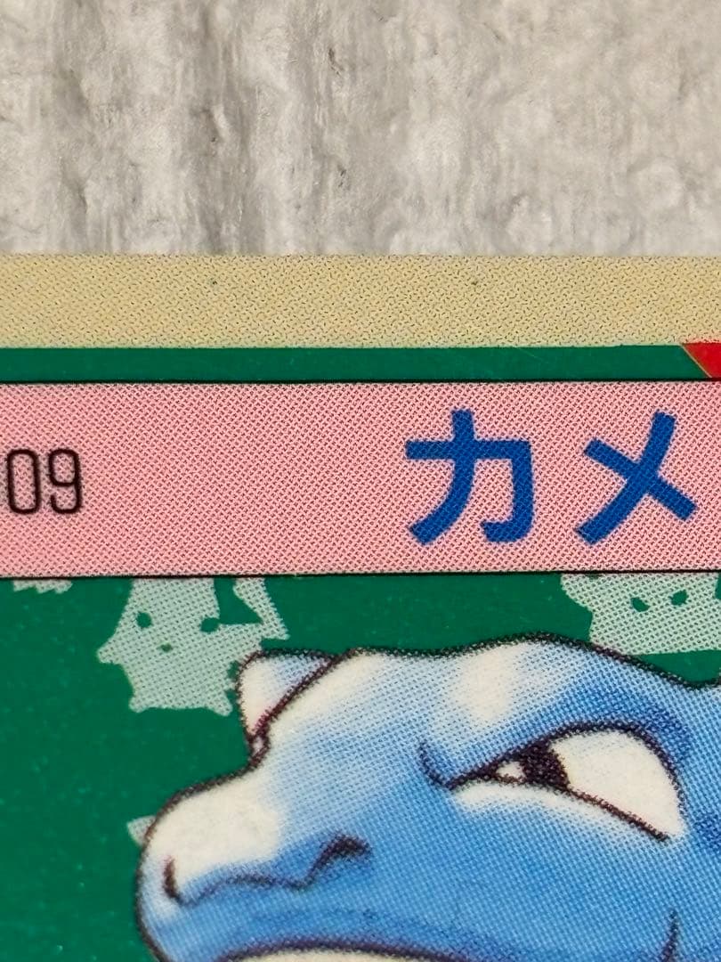 ポケモン トップサン カメックス 裏面 青