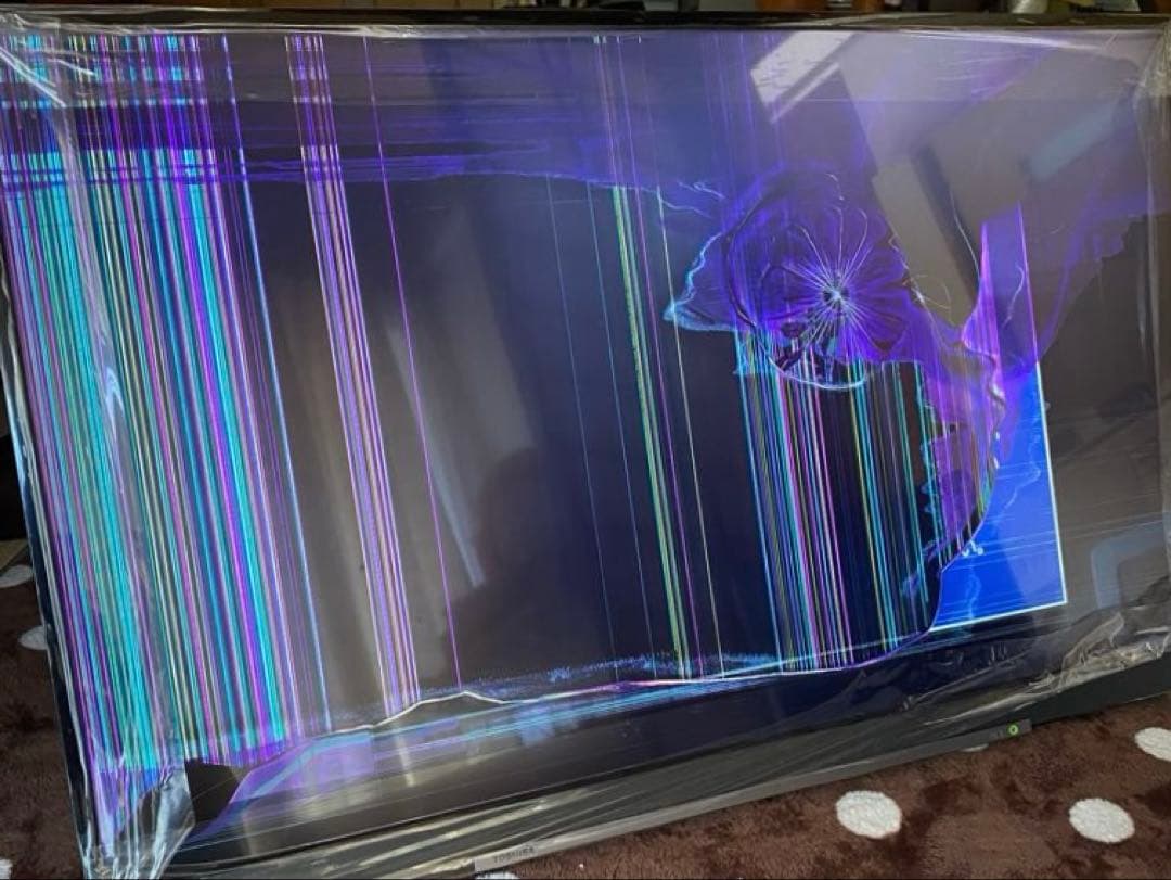 ⚠︎ジャンク品⚠︎ 東芝　REGZA 49BZ710X [49インチ]