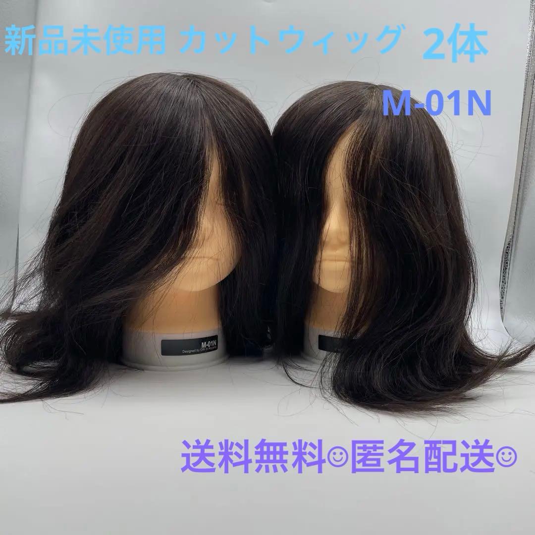 カットウィッグ　カットマネキン　未使用品　ノーカット　M-01N 2体セット