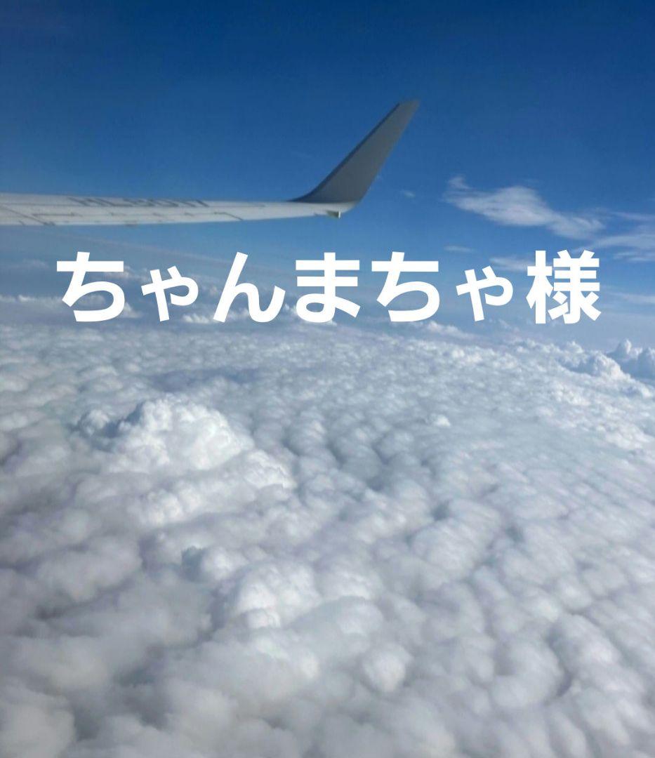 ちゃんまちゃ様