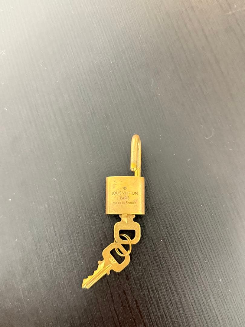 Louis Vuitton ボストンバッグ ブラウン50