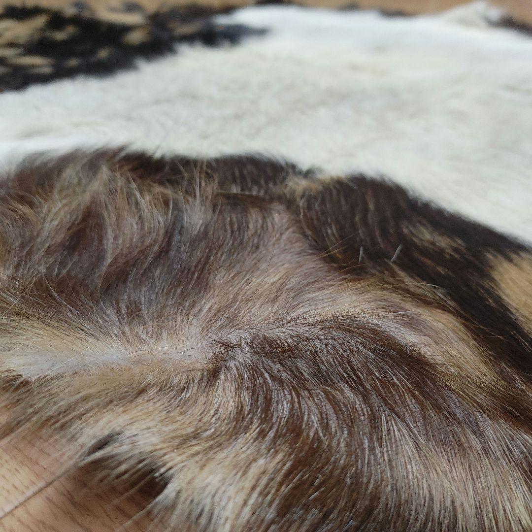 カウヘアー　カウラグ 天然牛革 新品 インテリア