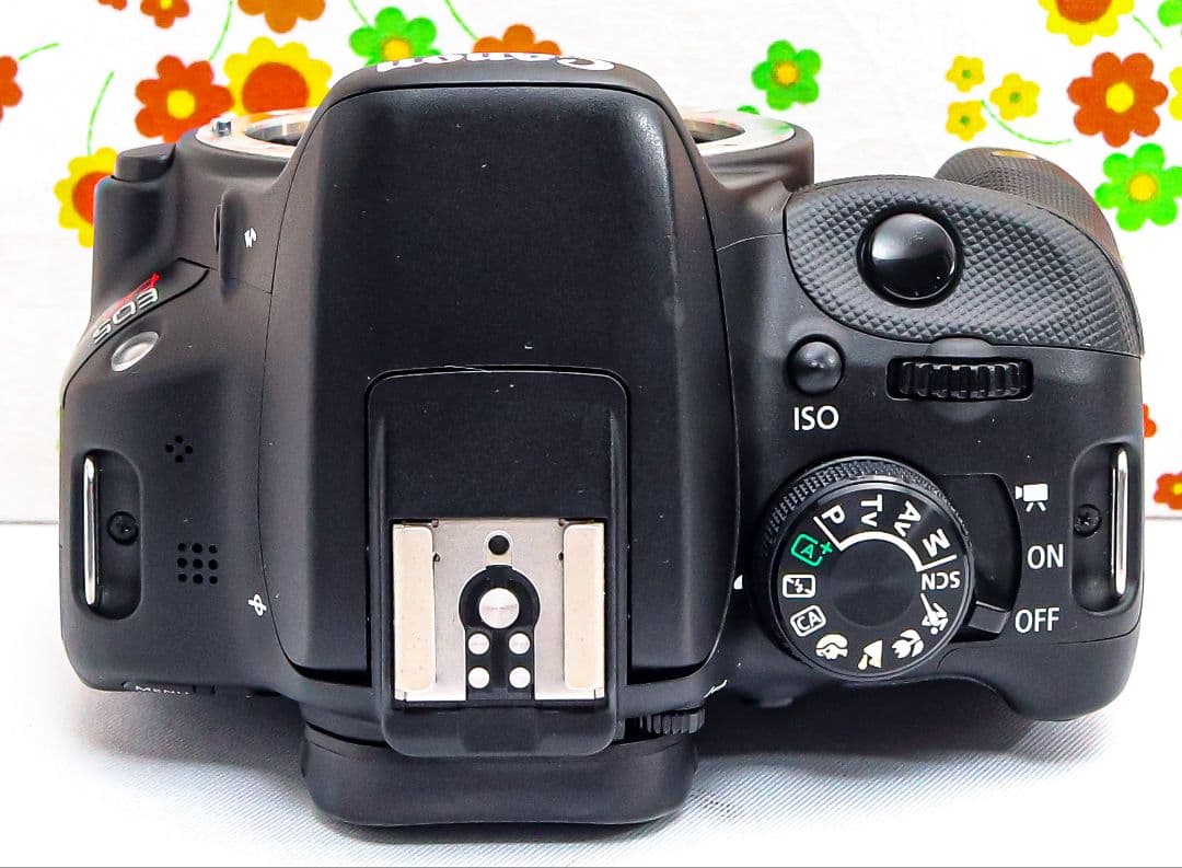 美品 Canon EOS Kiss X7☆スマホ転送☆超小型☆間違いない一眼レフ