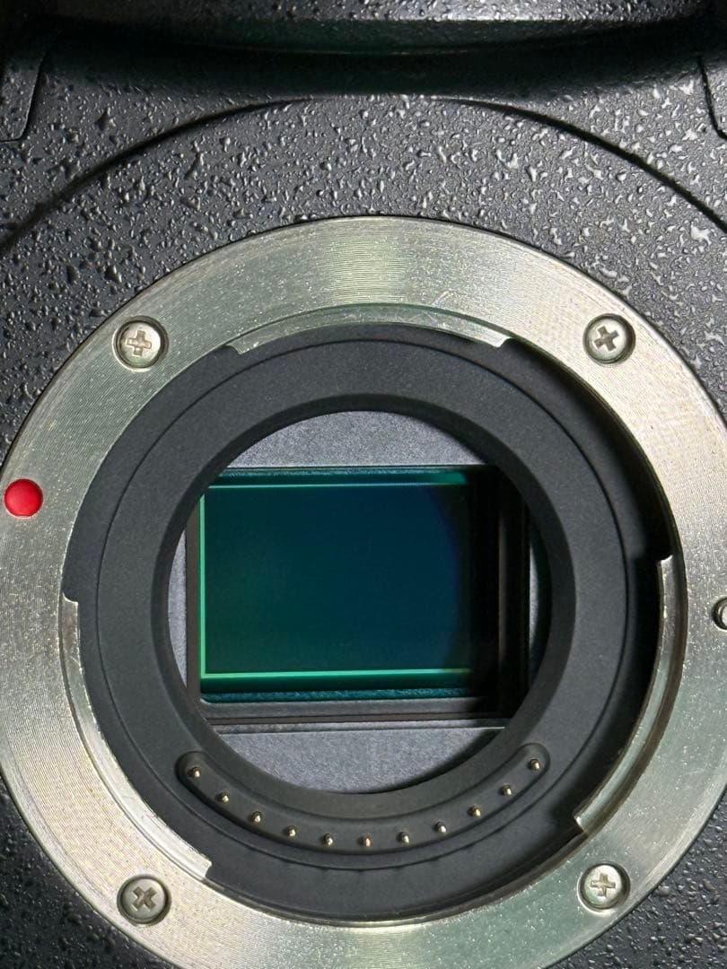 Panasonic LUMIX GH5S 本体　ミラーレス一眼 ☆美品・完動品