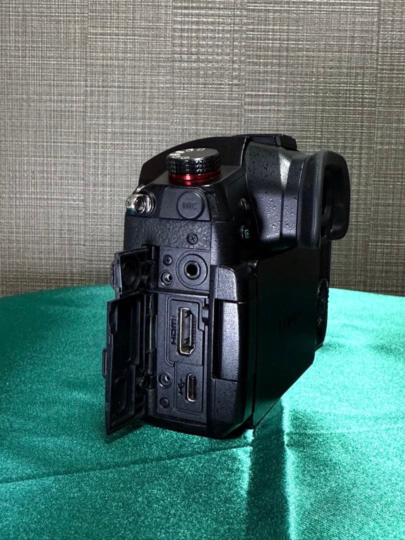 Panasonic LUMIX GH5S 本体　ミラーレス一眼 ☆美品・完動品