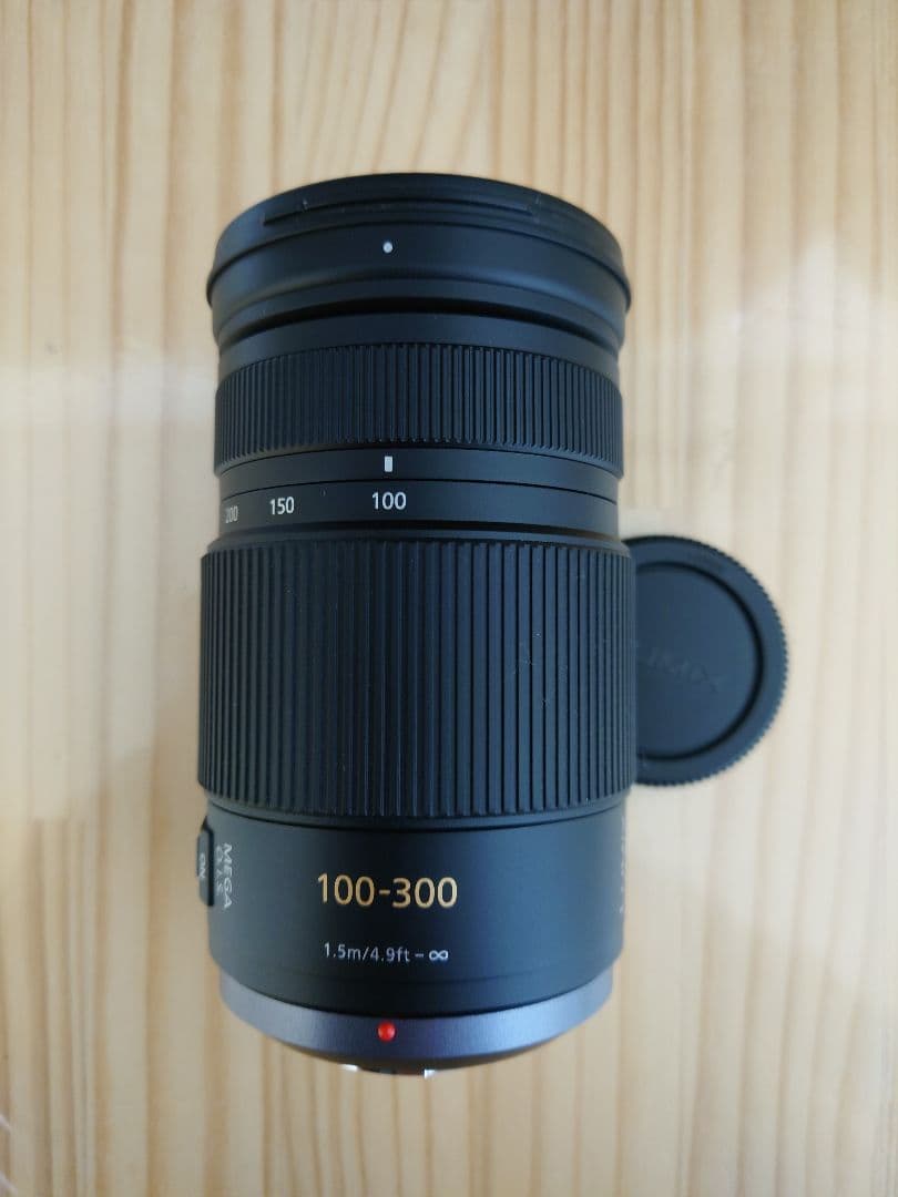 LUMIX ルミックス 100-300mm 4.0-5.6 H-FS100300